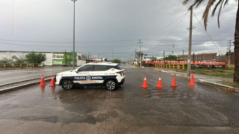 A partir del próximo año se comenzarán a aplicar