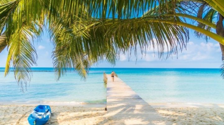 Mejor Temporada para Viajar a Veracruz: Descubre Cuándo Ir