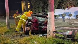 Foto que representa a VIDEO: Pareja estrella su vehículo contra una palmera en el bulevar Tetakawi de San Carlos