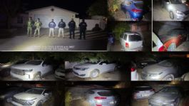Foto que representa a 'GOLPE' AL CRIMEN: Decomisan 24 vehículos en Agua Prieta; 18 tienen reporte de robo en EU