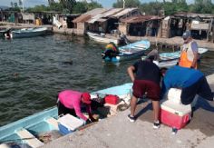 Foto ilustrativa de nota Pescadores de Guaymas ven mala temporada camaronera; "no hay producto", afirman