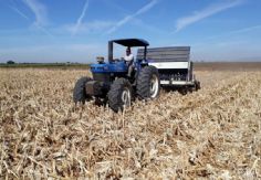 Foto ilustrativa de nota Sonora: Autorizan permisos de 38 mil hectáreas para el Valle del Mayo y Fuerte Mayo