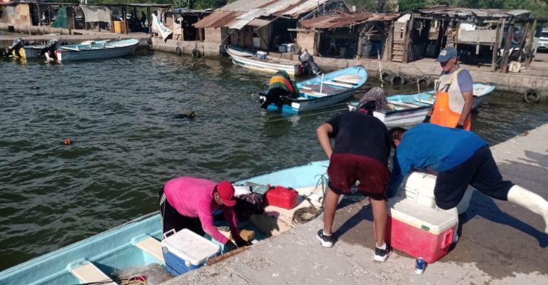 Pescadores de Guaymas y Empalme enfrentan dificultad para poder lograr la subsistencia; actividad pesquera va en caída