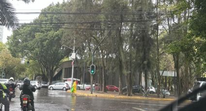 Clima en CDMX 12 de febrero: Se esperan altas temperaturas ¿A qué hora lloverá Hoy?