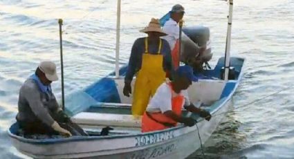 Frenan a ribereños para dar paseos en bahía de Guaymas; les piden pangas nuevas  