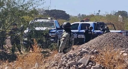 Tenía 31 años: Identifican a mujer hallada sin vida dentro un refrigerador en Ciudad Obregón