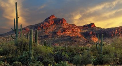 Clima en Sonora hoy 18 de febrero: Temperaturas frías en la mañana y viento con tolvaneras