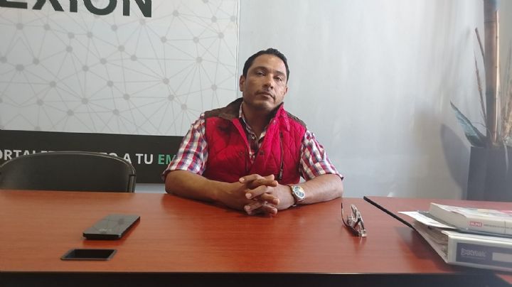 Avanza programa de rastreo fitosanitario en el Valle del Yaqui