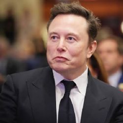 ¿Elon Musk planea bombardear México? Así reaccionó a designación de cárteles como terroristas