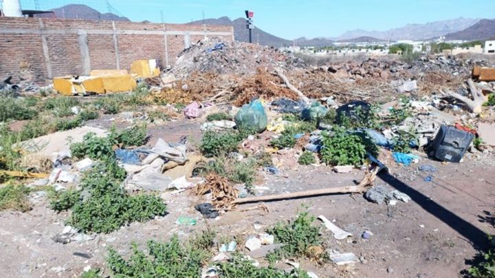 Lotes baldíos con basura, son un riesgo en Guaymas; dueños deberán limpiarlos