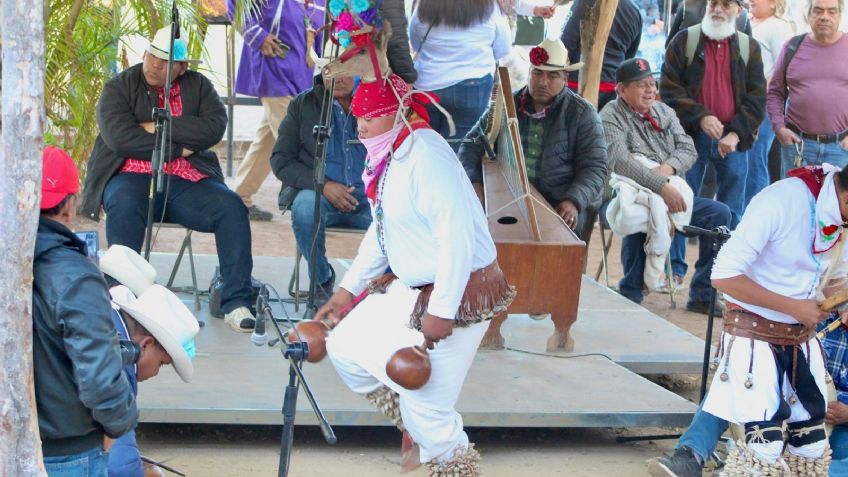 Cultura mayo conquista el Festival Alfonso Ortiz Tirado en Álamos