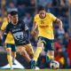 Pumas vs América EN VIVO: Horario y dónde ver el Clásico capitalino de la Liga MX