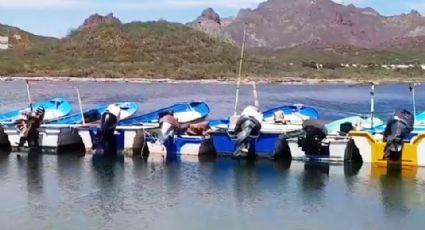 Ribereños de Guaymas, sin permisos para salir a pescar; piden una solución rápida