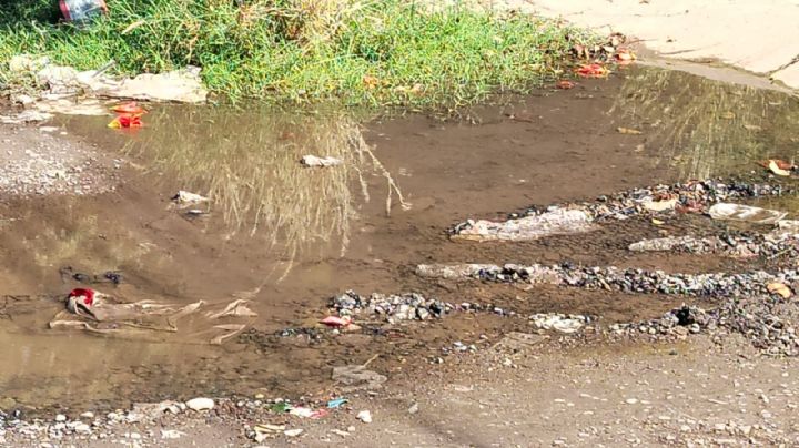 Ciudad Obregón: Vecinos demandan mejoras de servicios en colonia San Javier