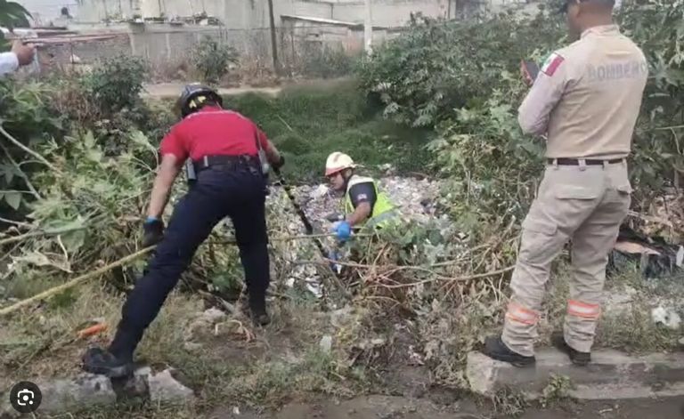 Restos humanos en Ecatepec