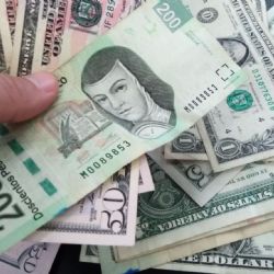 Precio del dólar HOY martes 25 de febrero de 2025: ¿Cómo amaneció el peso mexicano?