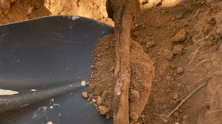 Hallan 6 fosas clandestinas en Hermosillo: Madres Buscadoras de Sonora continúan con rastreo