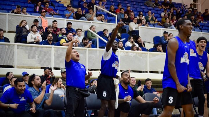 Los Halcones de Ciudad Obregón tendrán torneo triangular de pretemporada en su ‘Nido’