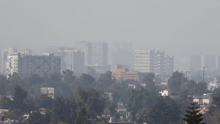Continúa la Contingencia Ambiental en CDMX: ¿Habrá Doble Hoy No Circula el viernes 28 de febrero?