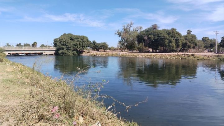 Ciudad Obregón: Autoridades investigan muerte de tortugas en el Canal Bajo de Cajeme