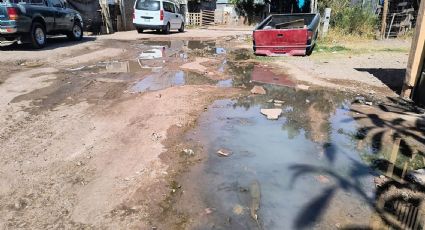 Ciudad Obregón: Vecinos de la colonia Presidentes urgen atención a los drenajes