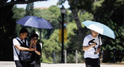 ¿Cuándo llegará la primera ola de calor de 2025 a México? Este es el pronóstico