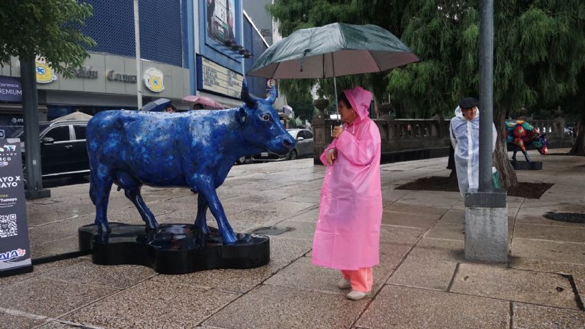 Clima en CDMX 3 de febrero: Conagua alerta por fuertes lluvias HOY en la capital