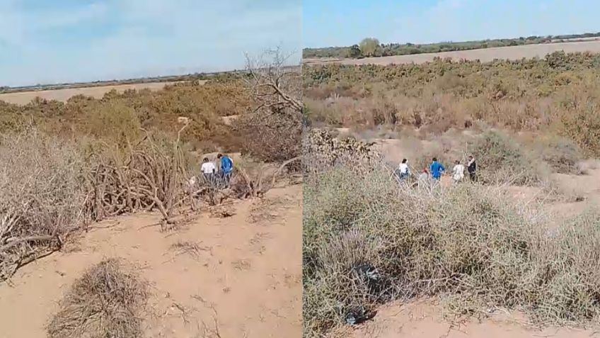 Localizan restos humanos en un predio de San Ignacio Río Muerto; podrían ser de un hombre