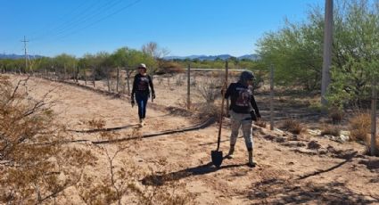 Hubo cuatro desapariciones durante enero en Guaymas y Empalme, revelan buscadoras