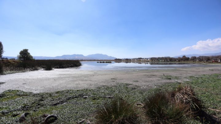 Sequía en México: ¿Se acerca el Día Cero? Estos son los estados más afectados