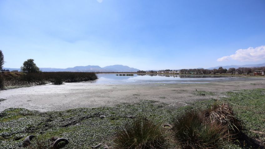 Sequía en México: ¿Se acerca el Día Cero? Estos son los estados más afectados