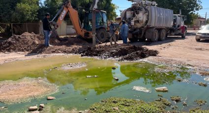 Más del 62 por ciento de las aguas negras se quedan en las calles de Navojoa