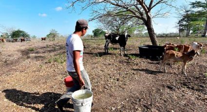 Con el 100% de los municipios en sequía, Durazo pide “no echarse la bolita” en tema agua