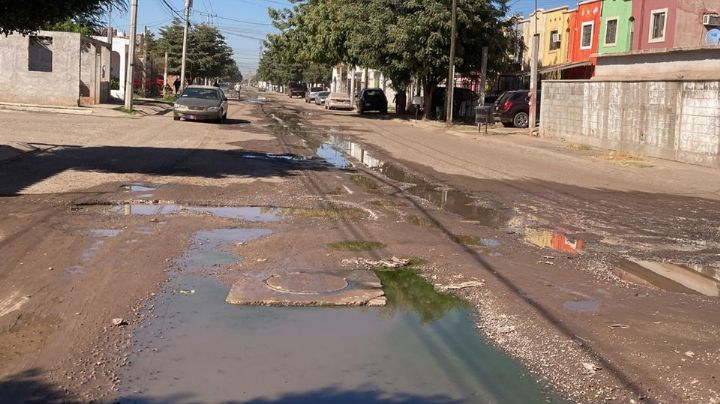 Ciudad Obregón: Vecinos de la Nueva Palmira piden atender problemas de pavimentación y drenajes