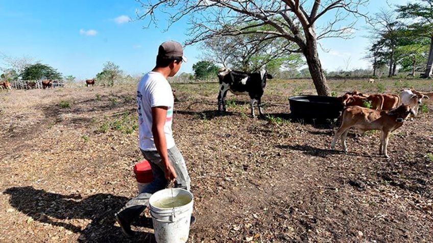 Con el 100% de los municipios en sequía, Durazo pide “no echarse la bolita” en tema agua