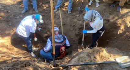 Guerreras Buscadoras de Cajeme encuentran cuatro osamentas en San Ignacio Río Muerto