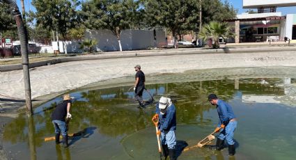 Comienza la limpieza del Parque Infantil de Navojoa de cara a las próximas vacaciones de Semana Santa