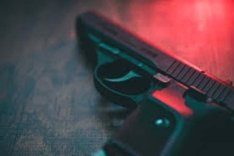 Fueron decomisadas armas largas, dos armas cortas, cargadores y 630 cartuchos