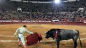 Foto ilustrativa de la nota titulada Claudia Sheinbaum: A favor de las corridas de toros, pero sin maltrato animal