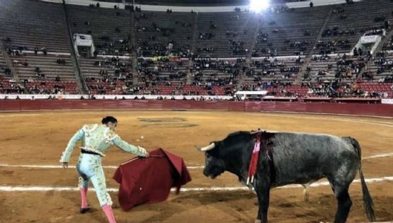 Claudia Sheinbaum: A favor de las corridas de toros, pero sin maltrato animal