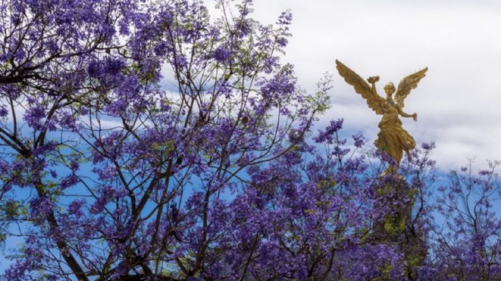 ¿Cuándo inicia la Primavera en México 2025? Te decimos todo lo que debes saber