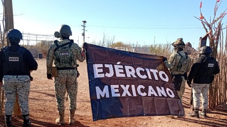Descubren invernadero de marihuana en Punta Chueca