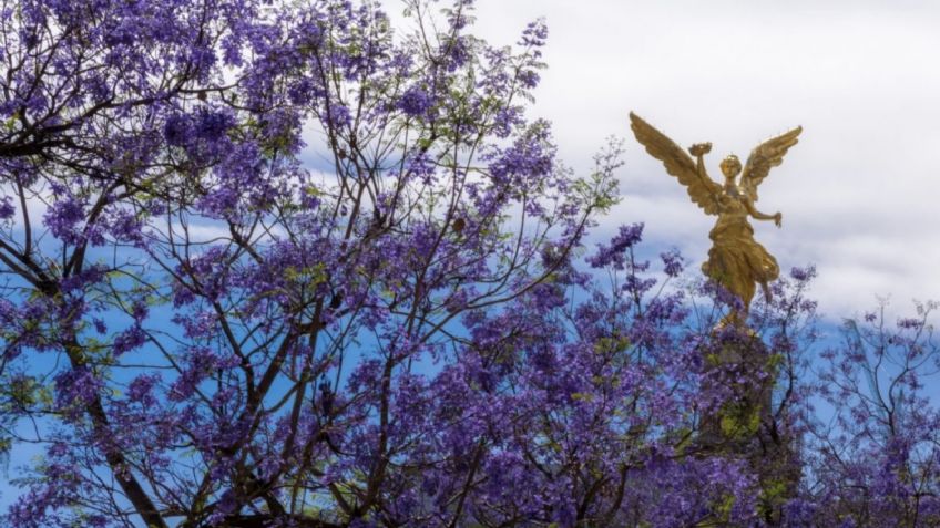 ¿Cuándo inicia la Primavera en México 2025? Te decimos todo lo que debes saber