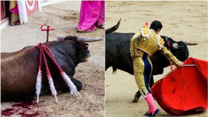 Gobierno de la CDMX propone regular corridas de toros con supuesto enfoque libre de violencia