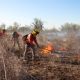 Sonora sale del top 10 a nivel nacional en incendios forestales con prevención y nuevas estrategias