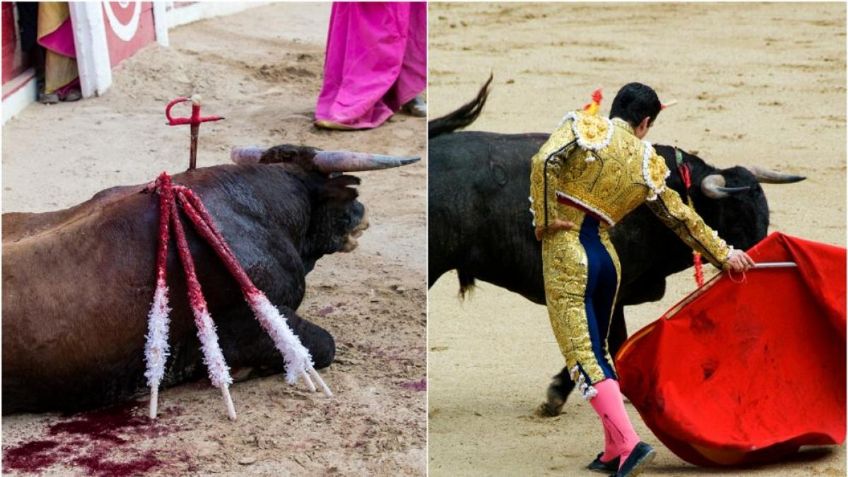 Gobierno de la CDMX propone regular corridas de toros con supuesto enfoque libre de violencia