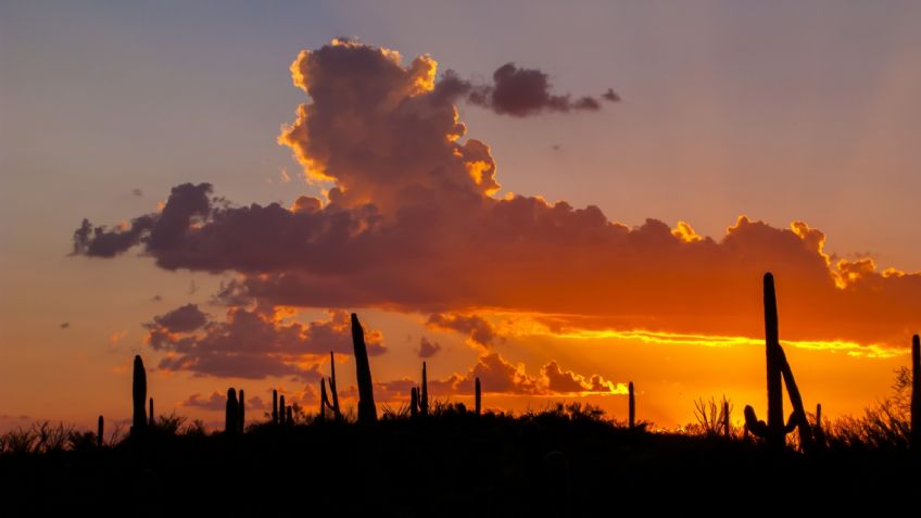 Clima en Sonora HOY 15 de marzo: Bajas temperaturas y fuertes rachas de viento