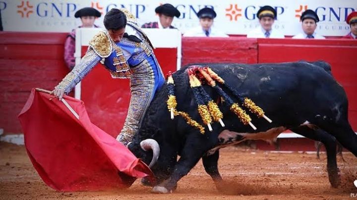 Corridas de toros sin violencia: Congreso de la CDMX discute el tema ¿Cómo serían?