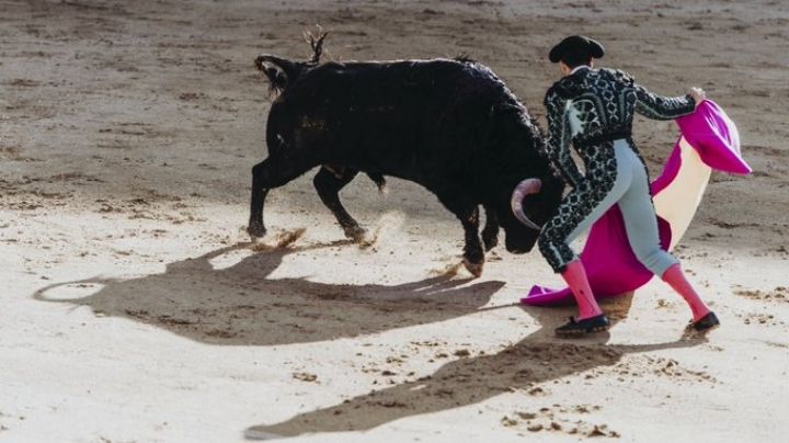 PROHIBEN corridas de toros con violencia en CDMX tras protestas y enfrentamientos
