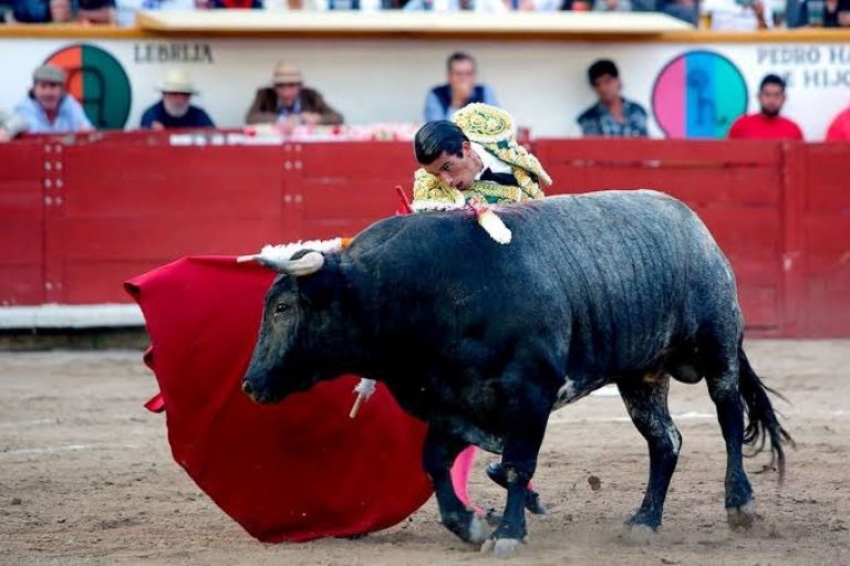Corridas de toros sin violencia